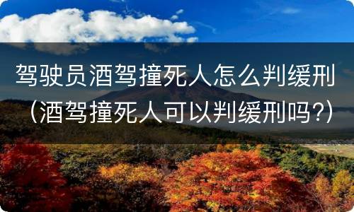 驾驶员酒驾撞死人怎么判缓刑（酒驾撞死人可以判缓刑吗?）