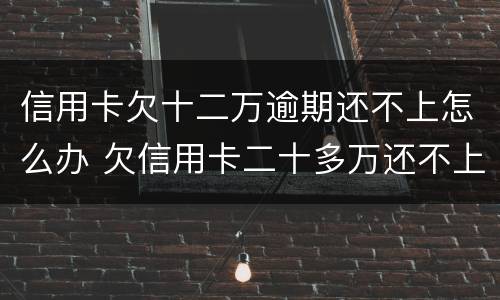 信用卡欠十二万逾期还不上怎么办 欠信用卡二十多万还不上怎么办
