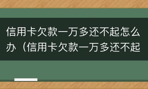 信用卡欠款一万多还不起怎么办（信用卡欠款一万多还不起怎么办呢）