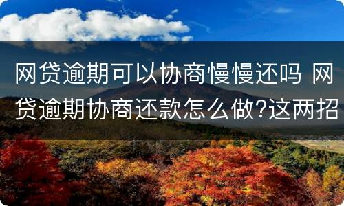 网贷逾期可以协商慢慢还吗 网贷逾期协商还款怎么做?这两招就够了