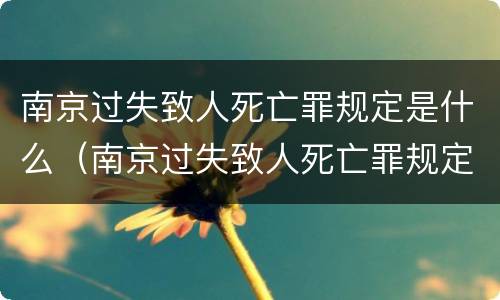 南京过失致人死亡罪规定是什么（南京过失致人死亡罪规定是什么时间）