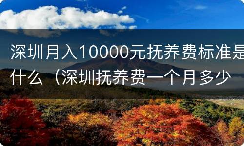深圳月入10000元抚养费标准是什么（深圳抚养费一个月多少钱）
