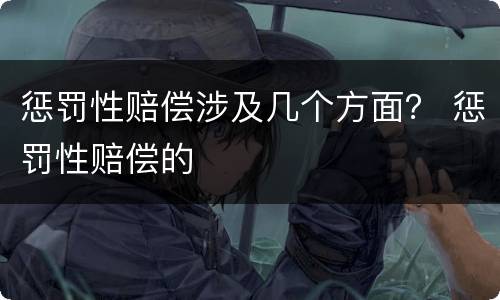 惩罚性赔偿涉及几个方面？ 惩罚性赔偿的