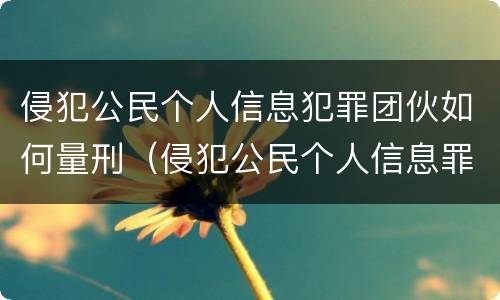 侵犯公民个人信息犯罪团伙如何量刑（侵犯公民个人信息罪团伙犯罪案例）
