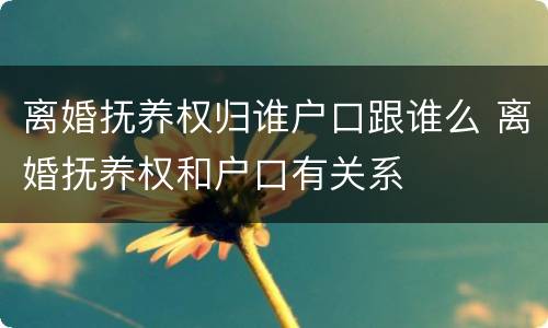 离婚抚养权归谁户口跟谁么 离婚抚养权和户口有关系