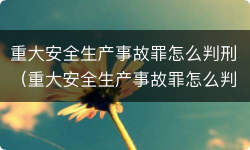 重大安全生产事故罪怎么判刑（重大安全生产事故罪怎么判刑最新规定）