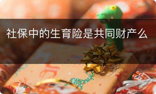 社保中的生育险是共同财产么