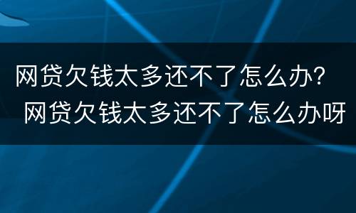 网贷欠钱太多还不了怎么办？ 网贷欠钱太多还不了怎么办呀