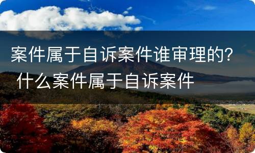 案件属于自诉案件谁审理的？ 什么案件属于自诉案件
