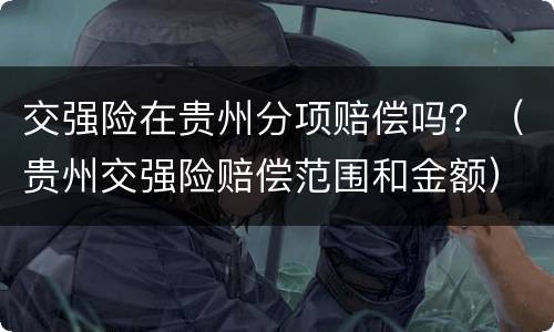 交强险在贵州分项赔偿吗？（贵州交强险赔偿范围和金额）