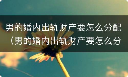 男的婚内出轨财产要怎么分配（男的婚内出轨财产要怎么分配呢）
