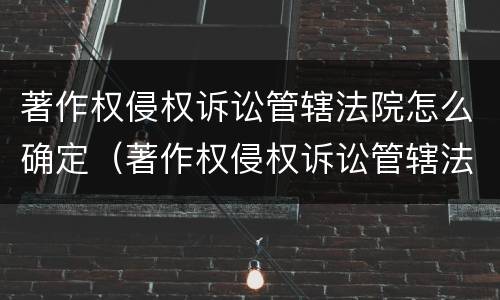 著作权侵权诉讼管辖法院怎么确定（著作权侵权诉讼管辖法院怎么确定案件）