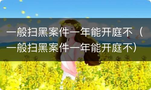 一般扫黑案件一年能开庭不（一般扫黑案件一年能开庭不）