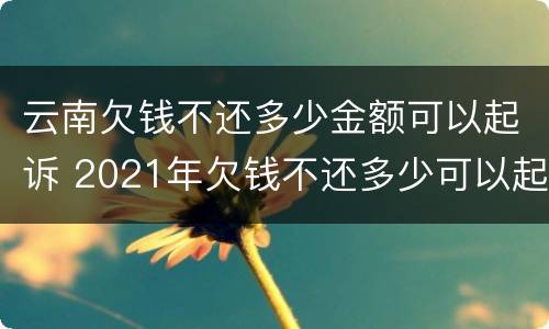 云南欠钱不还多少金额可以起诉 2021年欠钱不还多少可以起诉