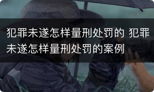 犯罪未遂怎样量刑处罚的 犯罪未遂怎样量刑处罚的案例