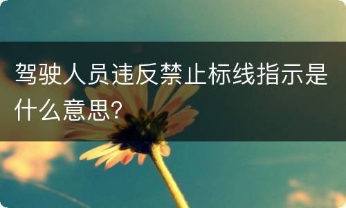 驾驶人员违反禁止标线指示是什么意思？