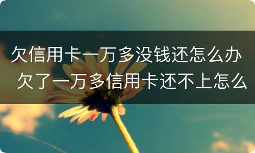 欠信用卡一万多没钱还怎么办 欠了一万多信用卡还不上怎么办