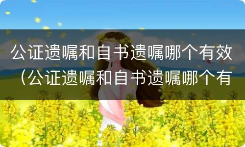 公证遗嘱和自书遗嘱哪个有效（公证遗嘱和自书遗嘱哪个有效率高）