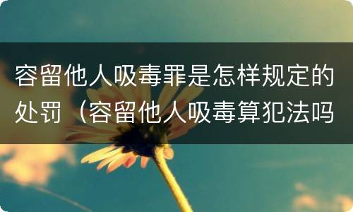 容留他人吸毒罪是怎样规定的处罚（容留他人吸毒算犯法吗）