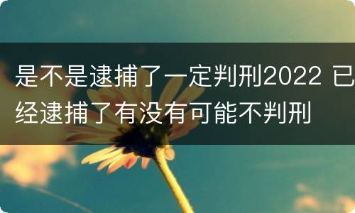是不是逮捕了一定判刑2022 已经逮捕了有没有可能不判刑