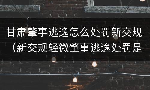 甘肃肇事逃逸怎么处罚新交规（新交规轻微肇事逃逸处罚是如何规定的?）