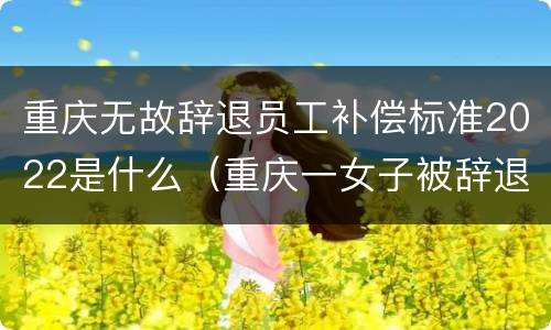 重庆无故辞退员工补偿标准2022是什么（重庆一女子被辞退）