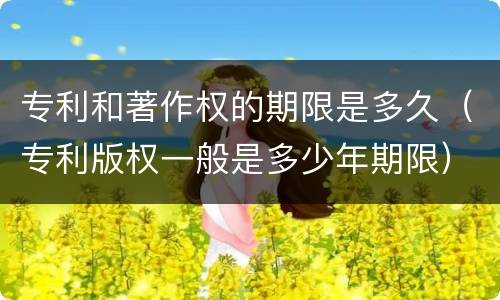专利和著作权的期限是多久（专利版权一般是多少年期限）