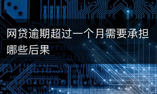 网贷逾期超过一个月需要承担哪些后果