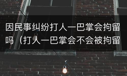 因民事纠纷打人一巴掌会拘留吗（打人一巴掌会不会被拘留）