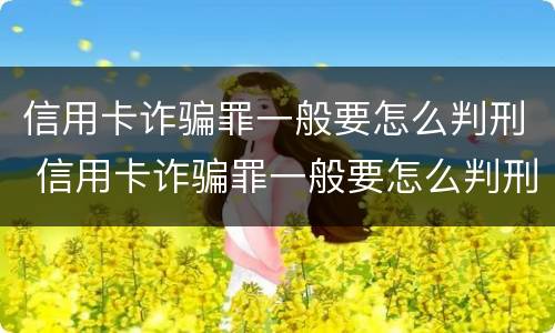 信用卡诈骗罪一般要怎么判刑 信用卡诈骗罪一般要怎么判刑的