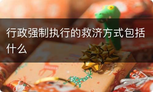 行政强制执行的救济方式包括什么