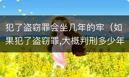 犯了盗窃罪会坐几年的牢（如果犯了盗窃罪,大概判刑多少年?）