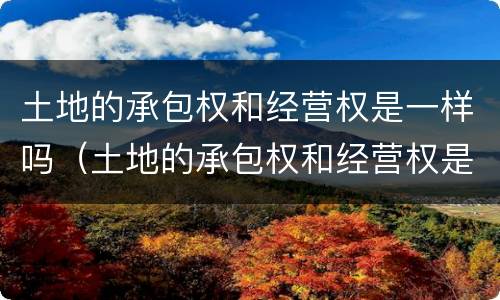 土地的承包权和经营权是一样吗（土地的承包权和经营权是一样吗对吗）