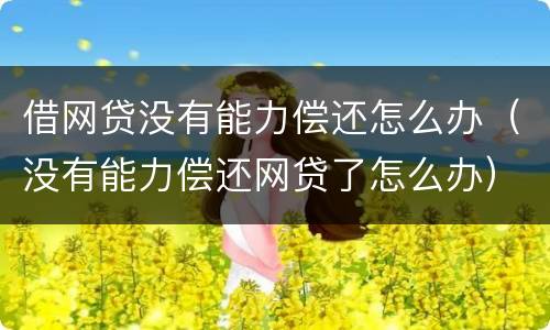 借网贷没有能力偿还怎么办（没有能力偿还网贷了怎么办）