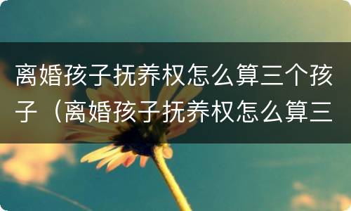 离婚孩子抚养权怎么算三个孩子（离婚孩子抚养权怎么算三个孩子的）