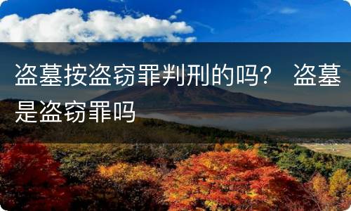 盗墓按盗窃罪判刑的吗？ 盗墓是盗窃罪吗