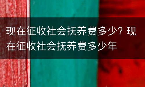 现在征收社会抚养费多少? 现在征收社会抚养费多少年
