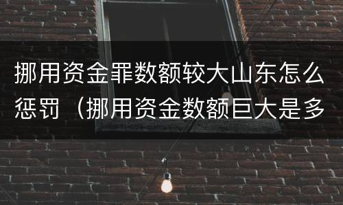 挪用资金罪数额较大山东怎么惩罚（挪用资金数额巨大是多少）
