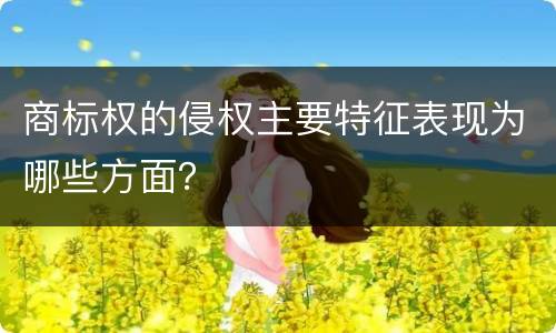 商标权的侵权主要特征表现为哪些方面？