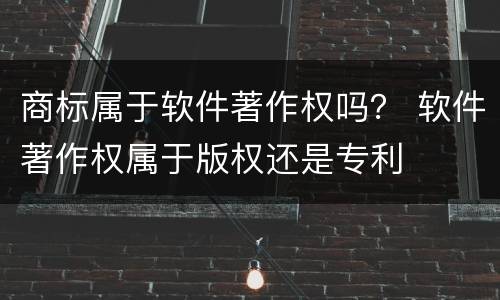 商标属于软件著作权吗？ 软件著作权属于版权还是专利