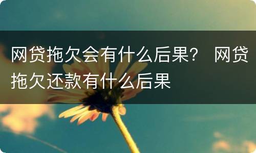 网贷拖欠会有什么后果？ 网贷拖欠还款有什么后果