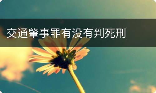 交通肇事罪有没有判死刑