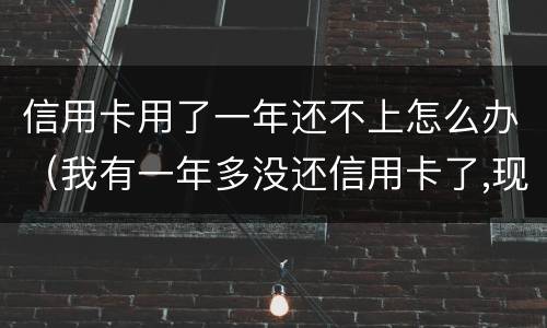 信用卡用了一年还不上怎么办（我有一年多没还信用卡了,现在要还怎么办）