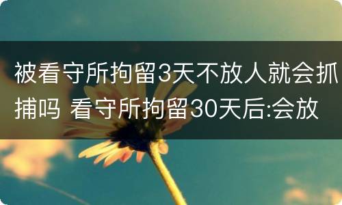 被看守所拘留3天不放人就会抓捕吗 看守所拘留30天后:会放人吗?