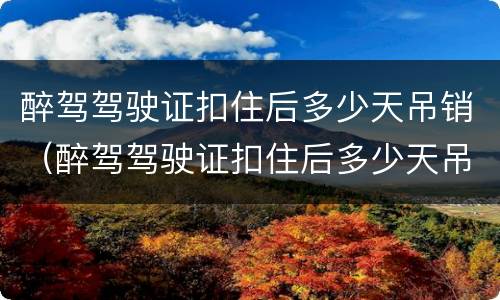 醉驾驾驶证扣住后多少天吊销（醉驾驾驶证扣住后多少天吊销）