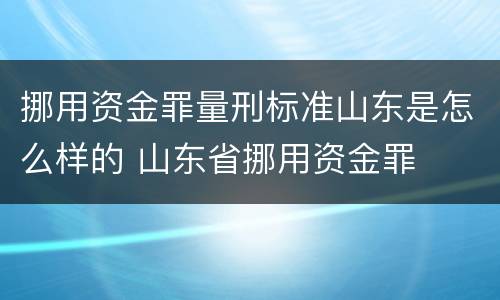 挪用资金罪量刑标准山东是怎么样的 山东省挪用资金罪