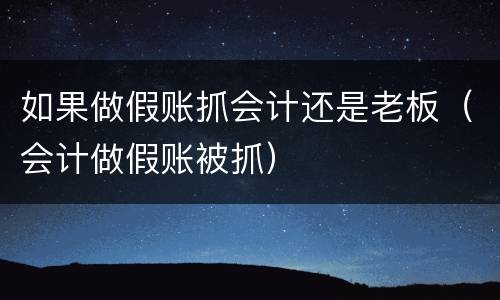 如果做假账抓会计还是老板（会计做假账被抓）