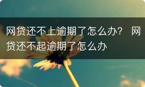 网贷还不上逾期了怎么办？ 网贷还不起逾期了怎么办