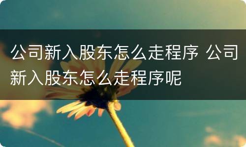 公司新入股东怎么走程序 公司新入股东怎么走程序呢