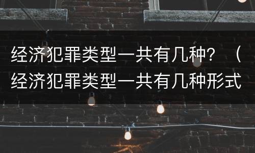 经济犯罪类型一共有几种？（经济犯罪类型一共有几种形式）